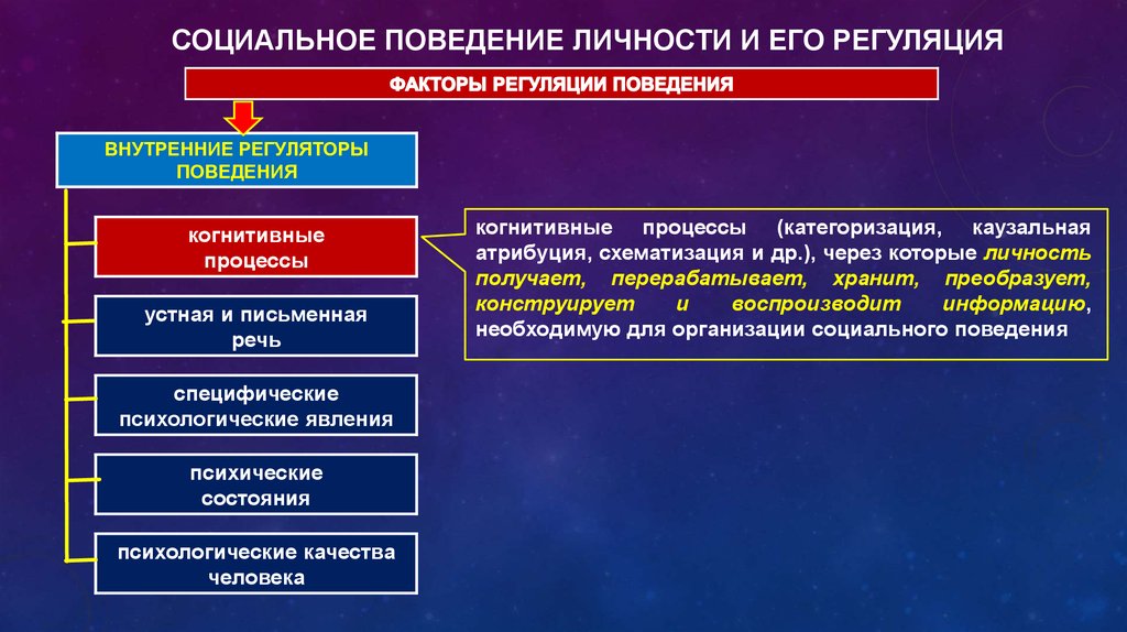 Социальная установка поведение