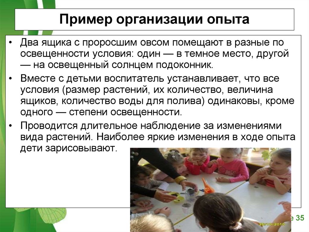 Организация опыта дети. Роль опытов в экологическом образовании дошкольников. Эксперимент в фирме.