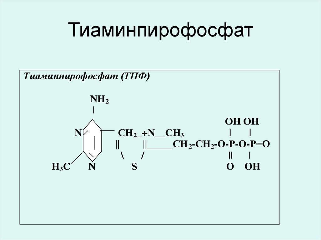 Тиаминпирофосфат
