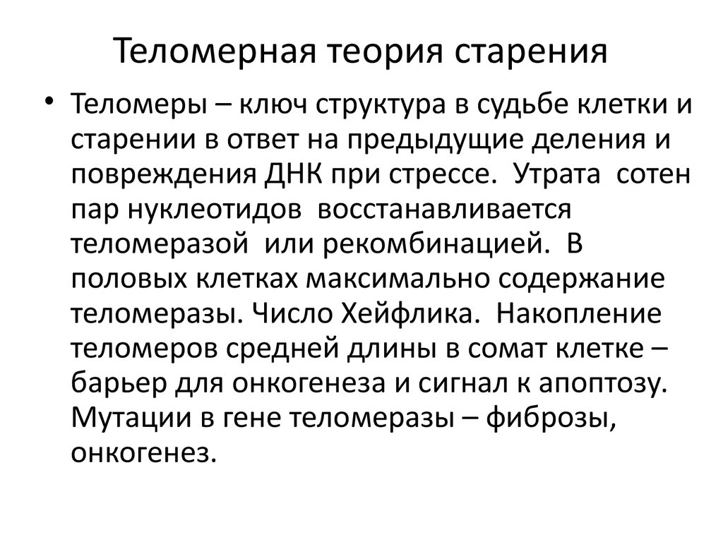 Теории старения. Теория старения теломеры. Клеточная теория старения. Теломеразная гипотеза старения..