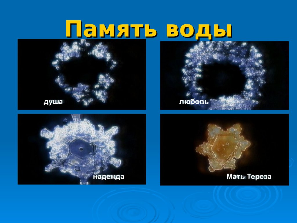 Меняют ли воду. Память воды. Информационная память воды. Вода имеет память. Вода память воды.