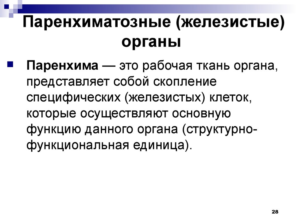 Общий план строения полых и паренхиматозных органов