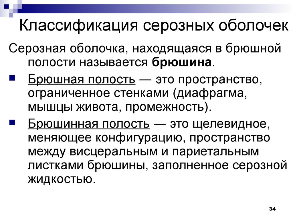 Серозная оболочка. Серозная оболочка функции. Строение серозной оболочки. Формирование серозной оболочки и ее функции.