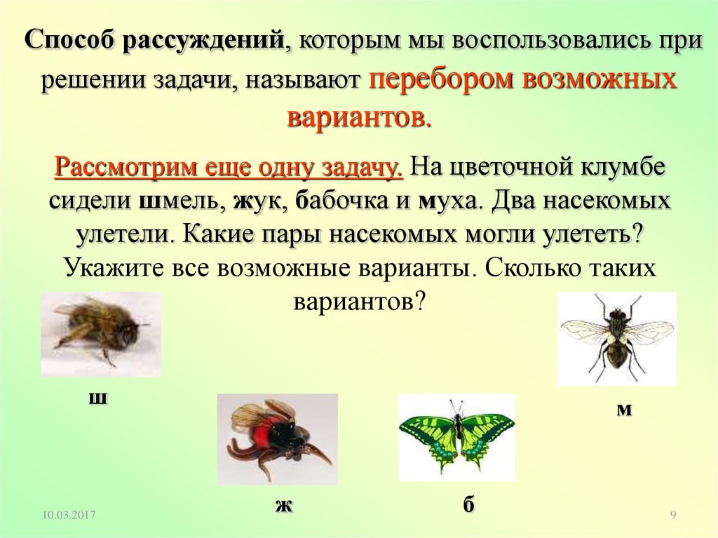 Сколько пар у насекомых. На цветочной клумбе сидели Шмель Жук бабочка и Муха. Решение задач о насекомых. Два насекомых. Пары насекомых.