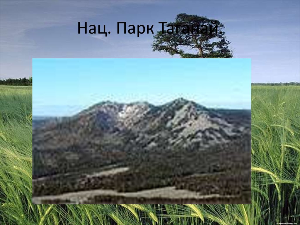 Нац. Парк Таганай.