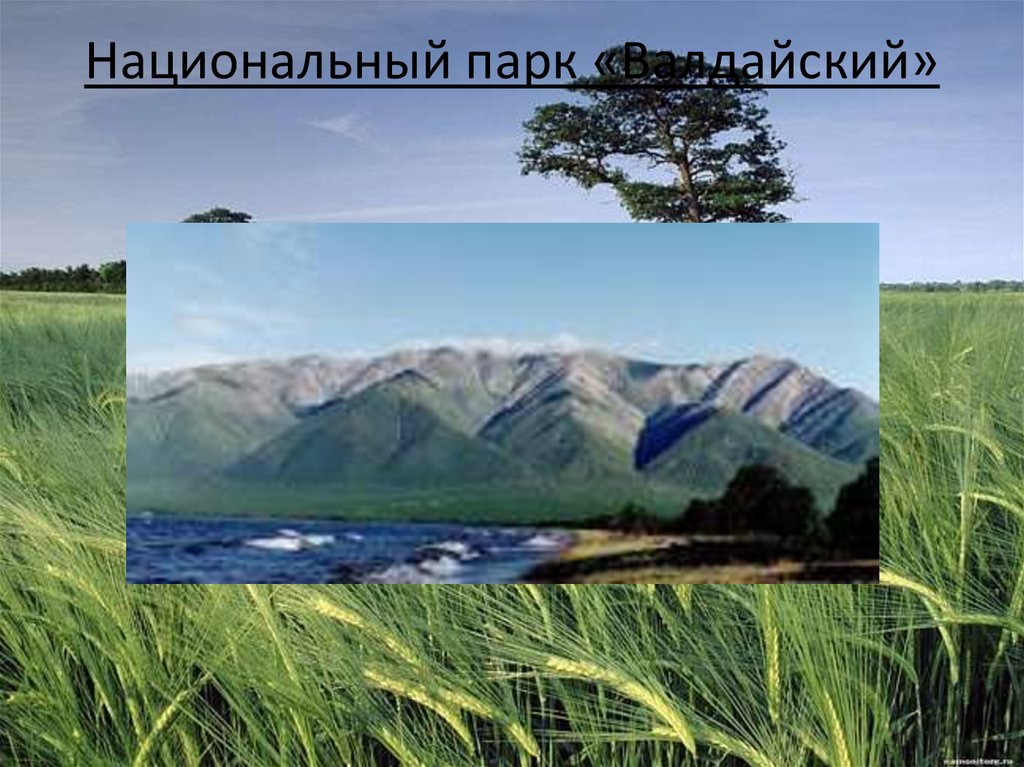 Национальный парк «Валдайский»