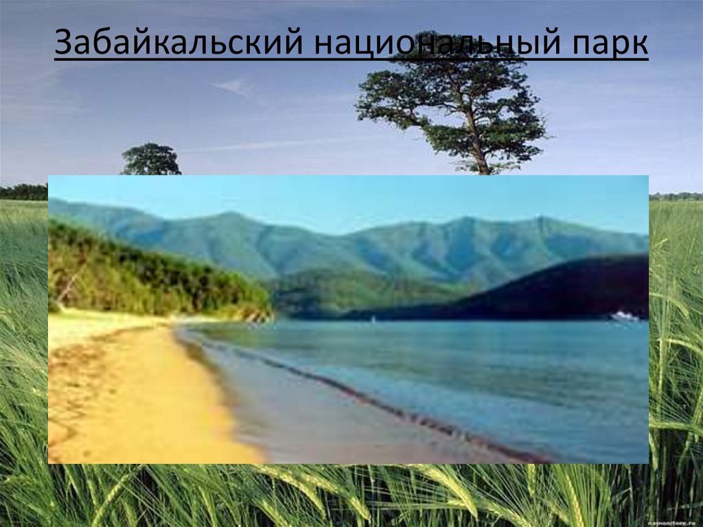 Забайкальский национальный парк