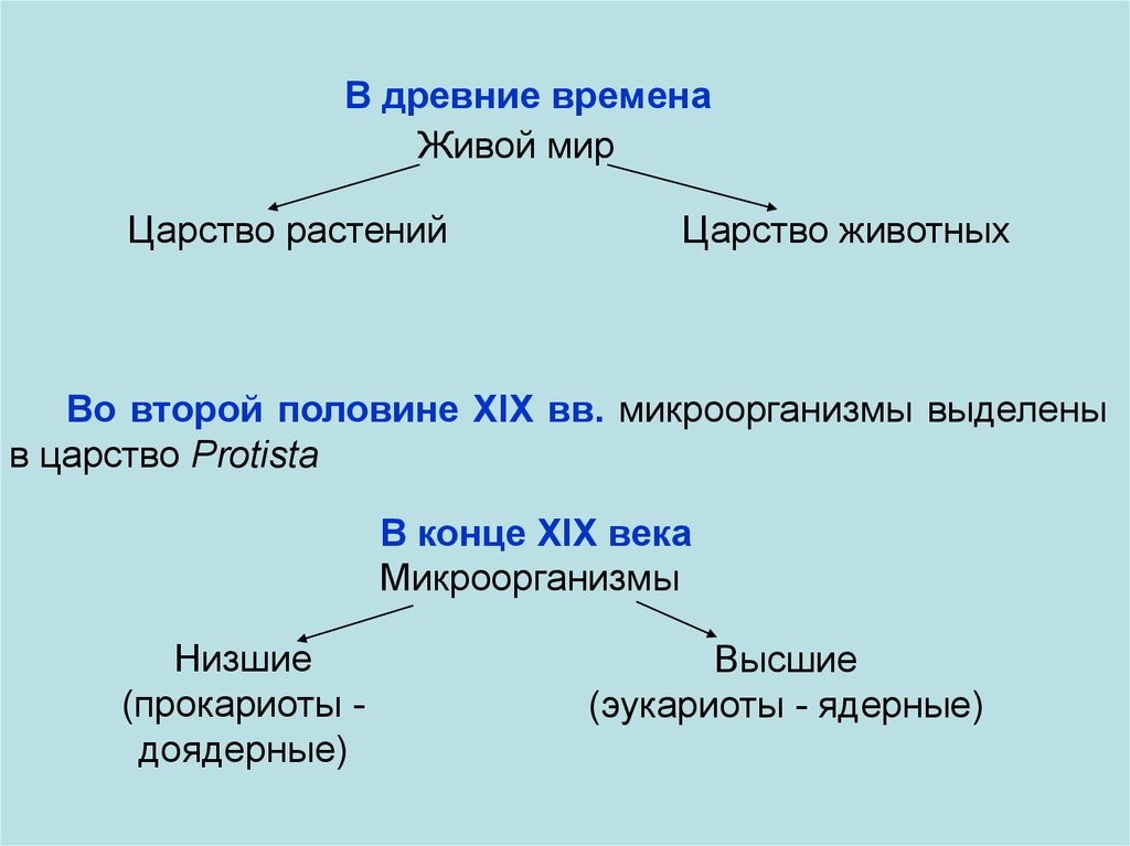 Реферат: Лекции по Основам микробиологии и биотехнологии