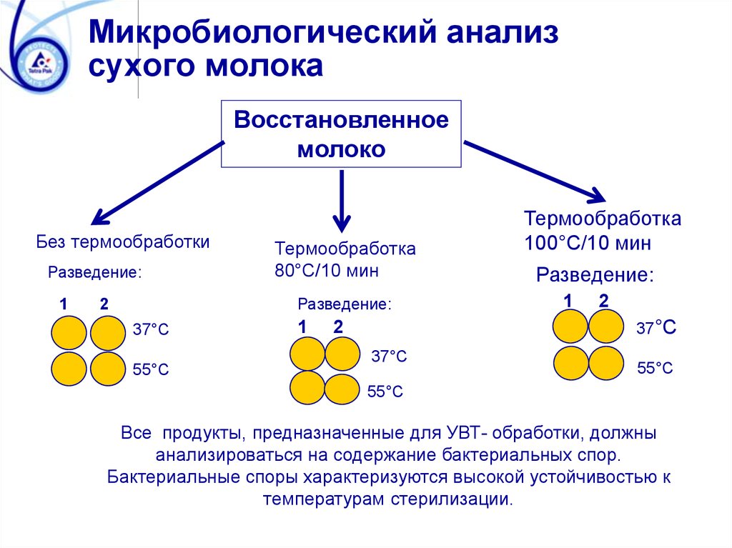 Анализ молочной