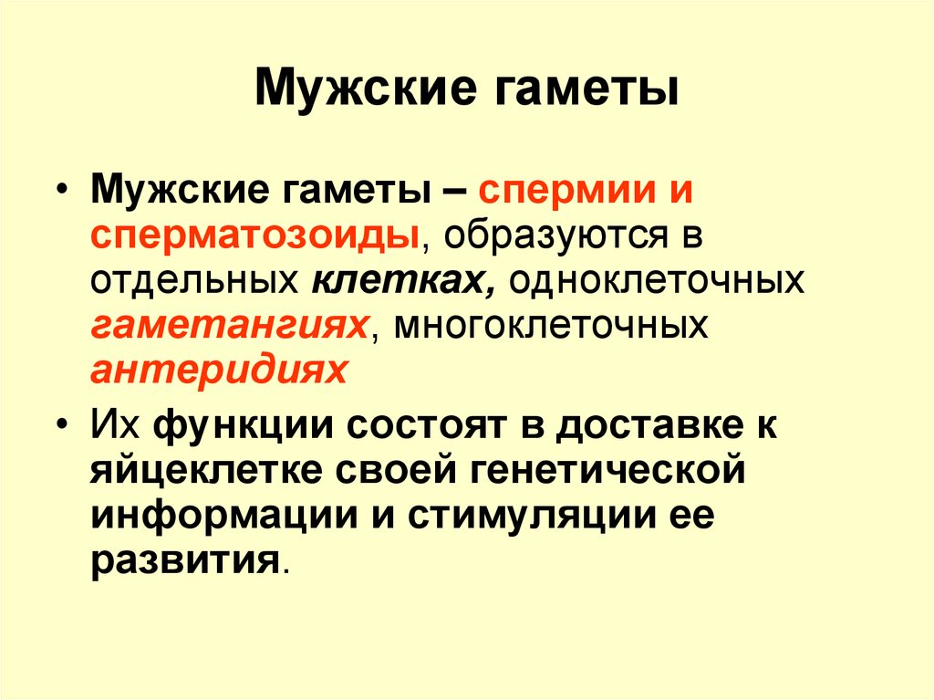 Содержит мужские гаметы. Мужские гаметы. Роль женских и мужских гамет. Где образуются гаметы. Мужские половые клетки.