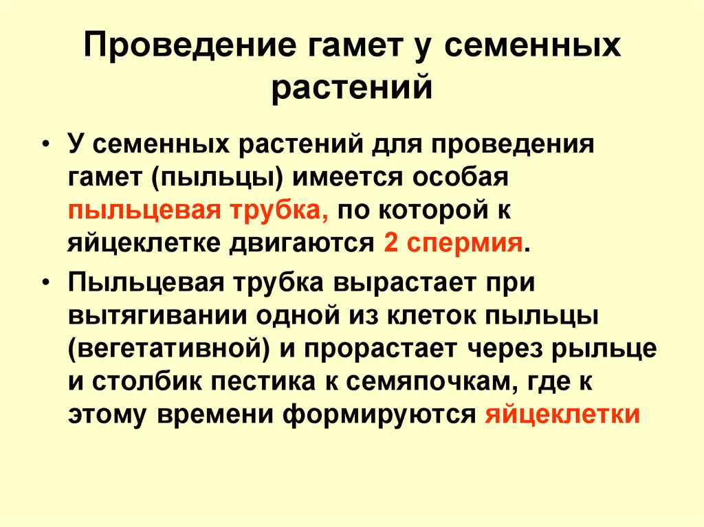 Гаметы семенных растений