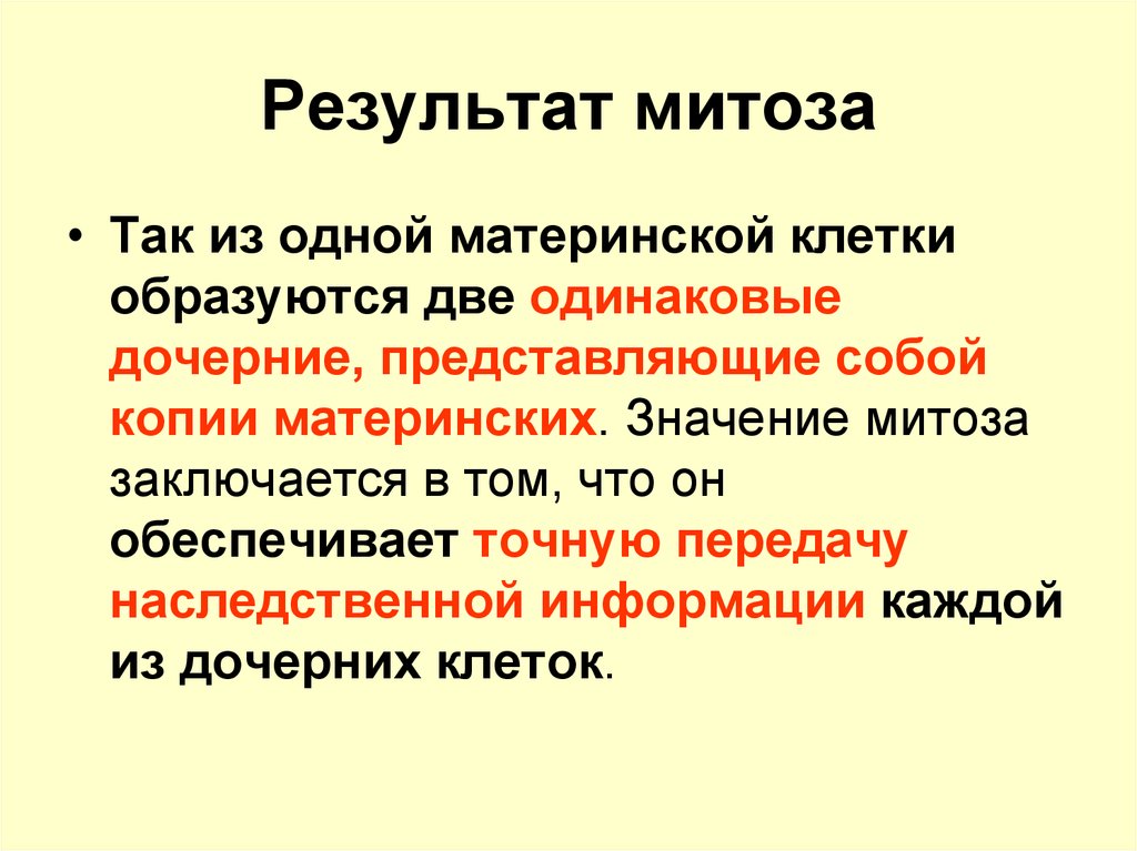 В результате митоза образуются клетки. Результат митоза. Значение митоза. В результате митоза образуются. Что образует в результате митоза.