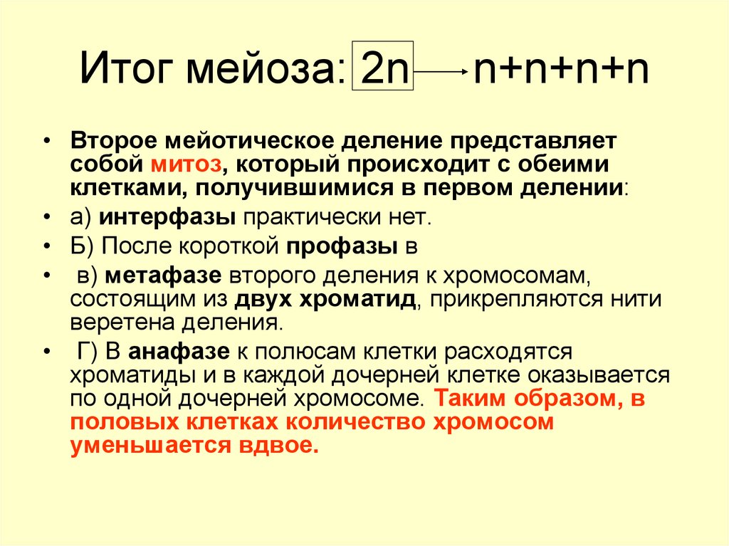 Мейоз характеристика. Результат мейоза 1 деление. Биологическая роль мейоза. Биологическое значение мейоза состоит в. Мейоз и его биологическое значение.