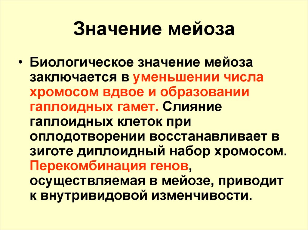 Биологическое значение митоза. Какова биологическая роль мейоза кратко. Биологическая роль мейоза. В чём заключается биологическое значение мейоза кратко. Биологическое значение 1 деления мейоза.