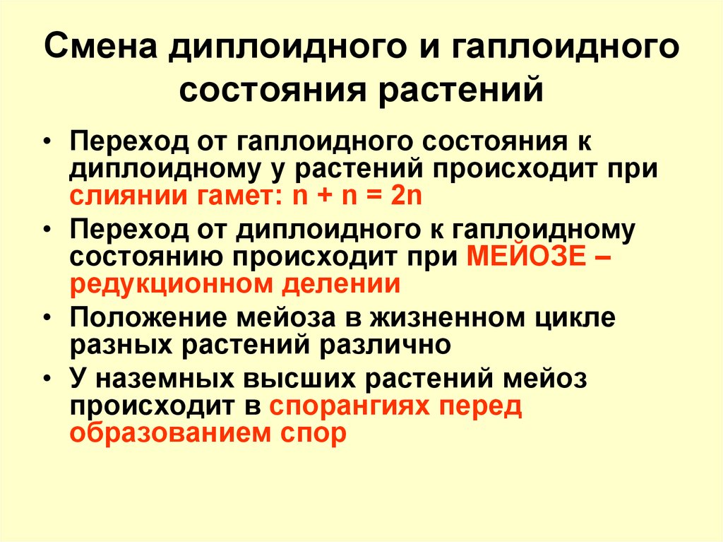 Гаплоидный набор это. Гаплоидный и диплоидный. Диплоидность и гаплоидность клеток. Чередование диплоидного и гаплоидного поколения. Диаломдный м и Гаплоидеый.