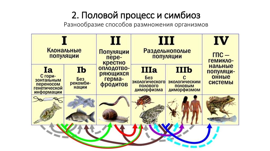 Интенсивность размножения организмов