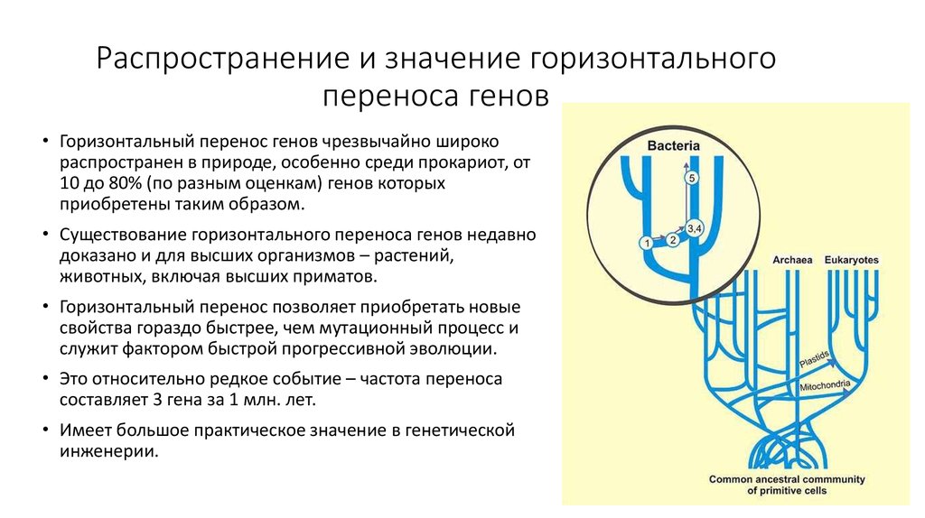 Горизонтальный перенос