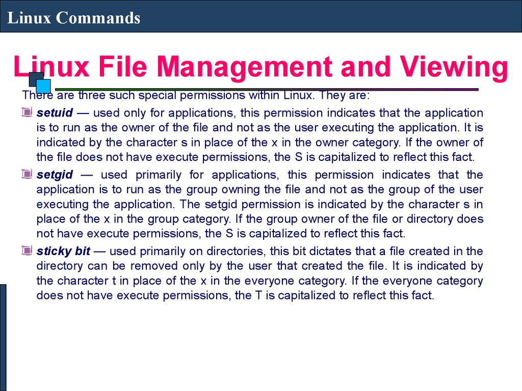 Linux File Management and Viewing