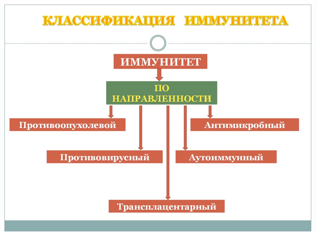 Классификационная схема иммунитета