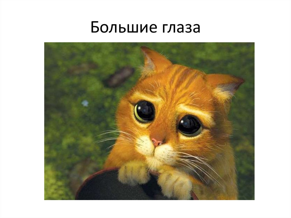 Большие глаза