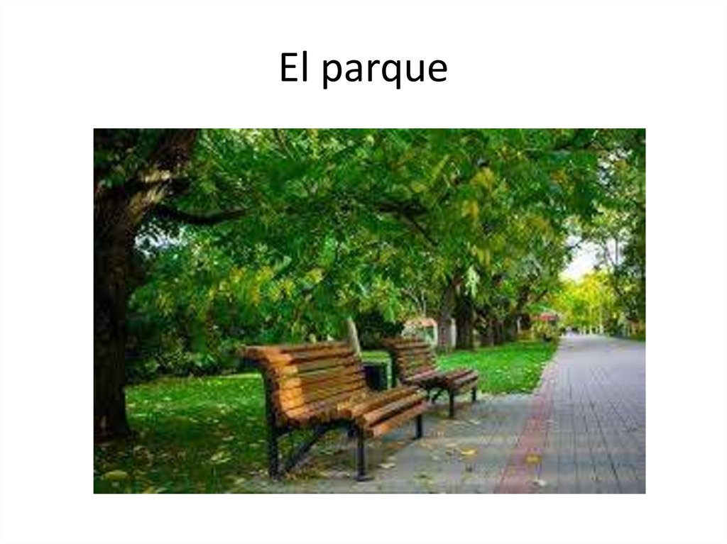 El parque