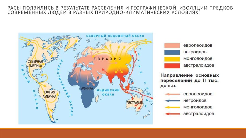 Порядок заселения материков и частей света человеком. Места расселения монголоидной расы. Карта расселения рас человека. Распространение негроидной расы карта. Расселение человеческих рас.