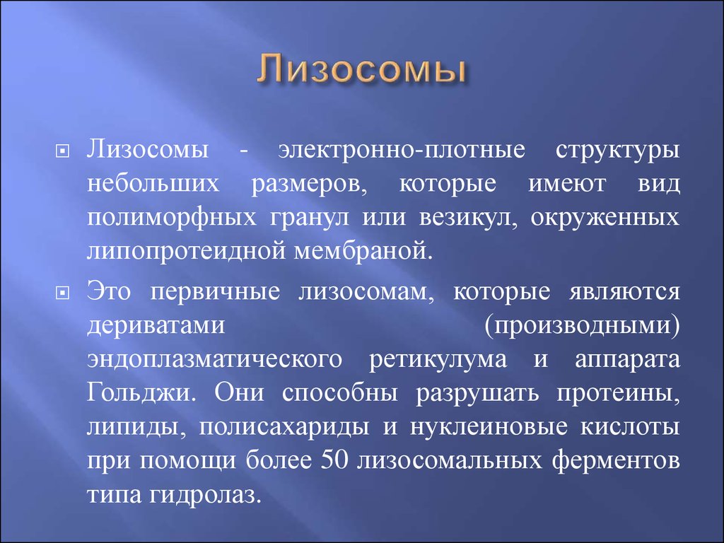 Везикула это в биологии. Первичная лизосома. Функции везикул. Полиморфная группа это.