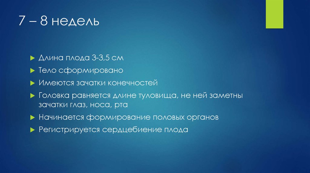 7 – 8 недель