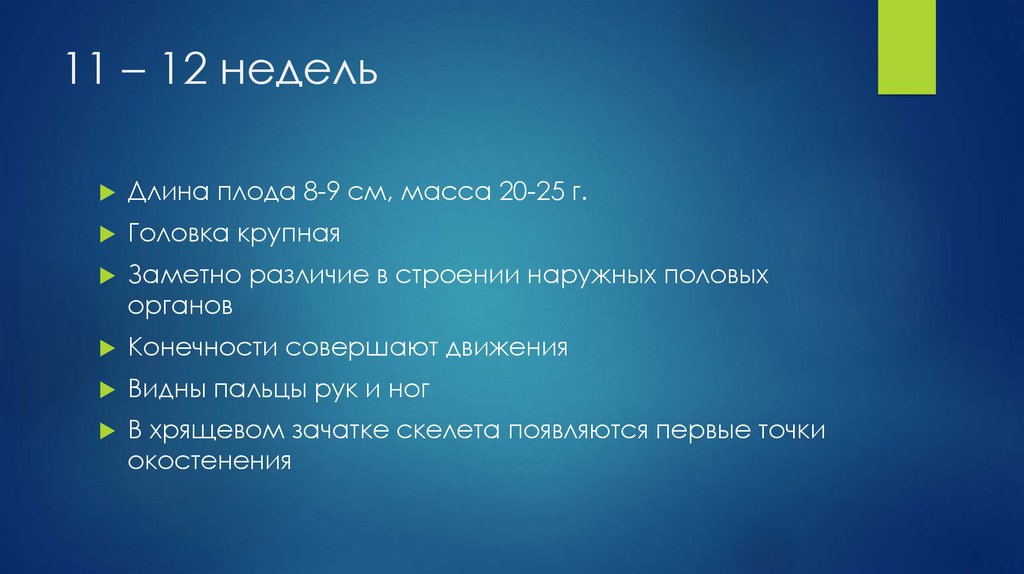 11 – 12 недель