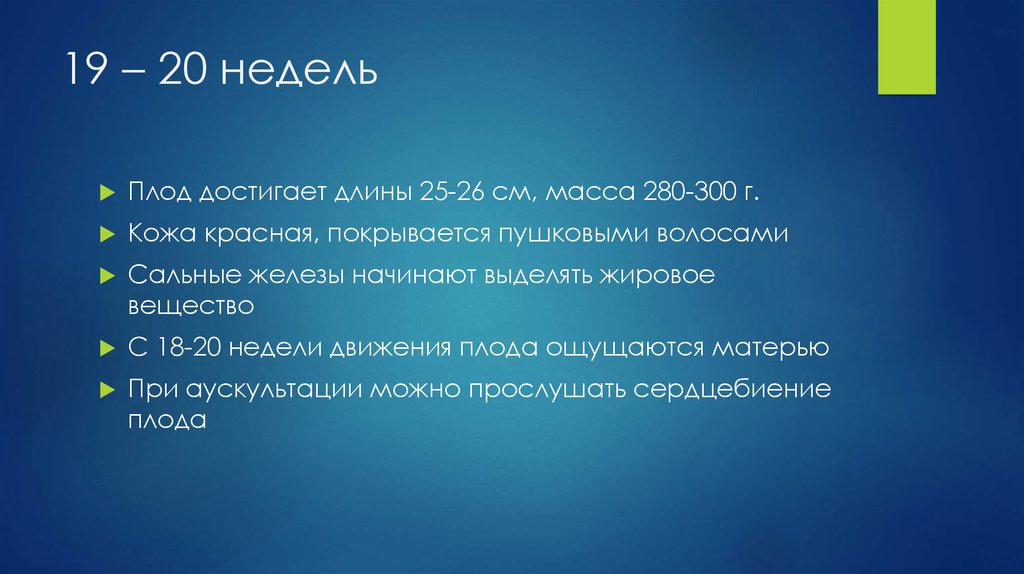 19 – 20 недель