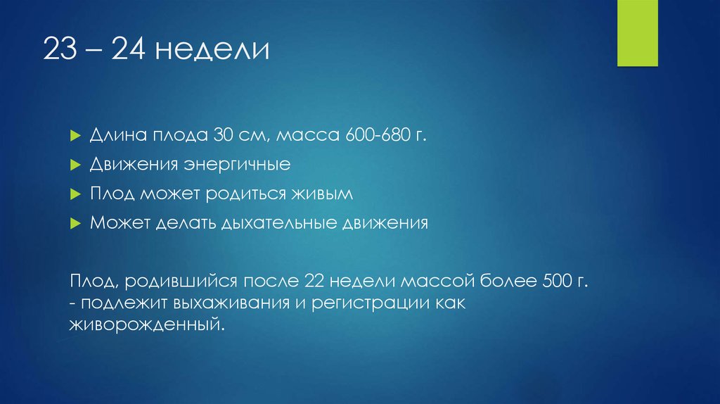 23 – 24 недели