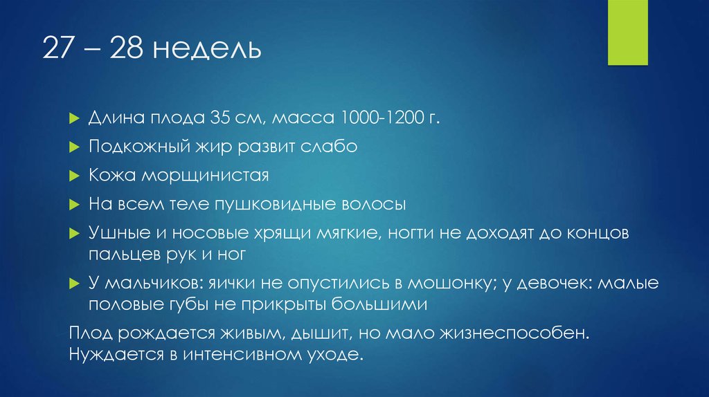 27 – 28 недель