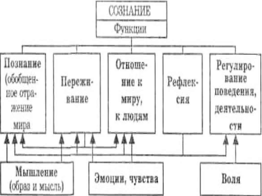 Реферат: Сознание 2