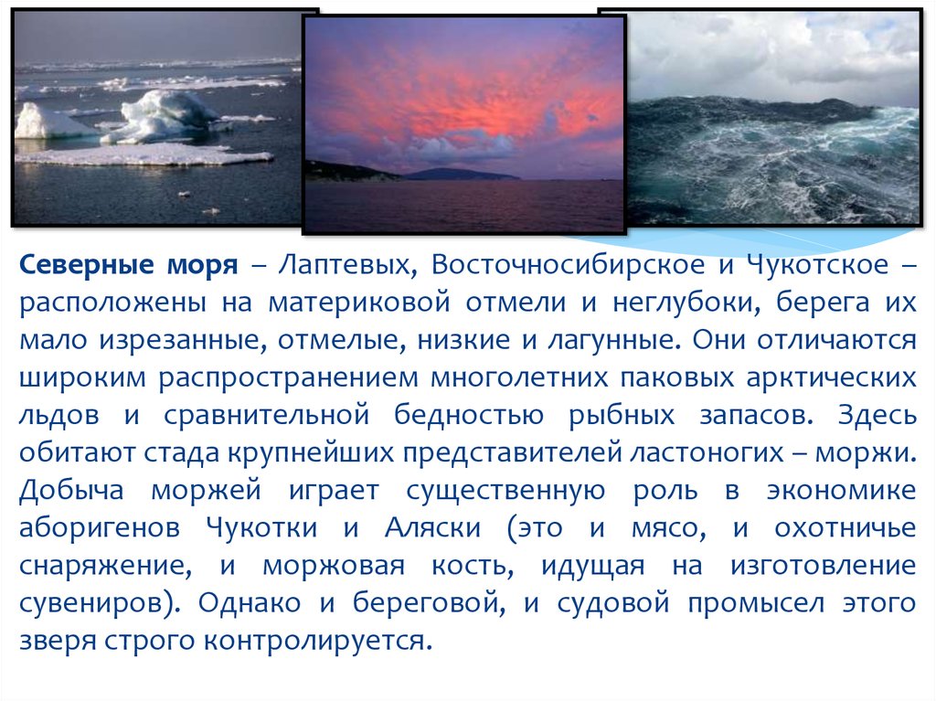 Где находится море лаптевых