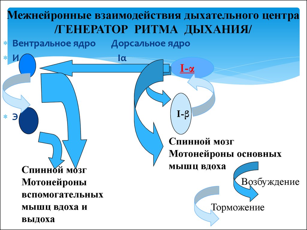 Реабилитация дыхательной системы презентация