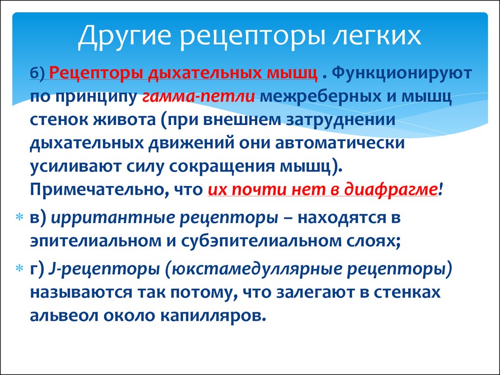 Рецепторы растяжения легких это. J рецепторы легких. Три типа рецепторов легких. Рецепторы растяжения легких это физиология. Рецепторы дыхания физиология.