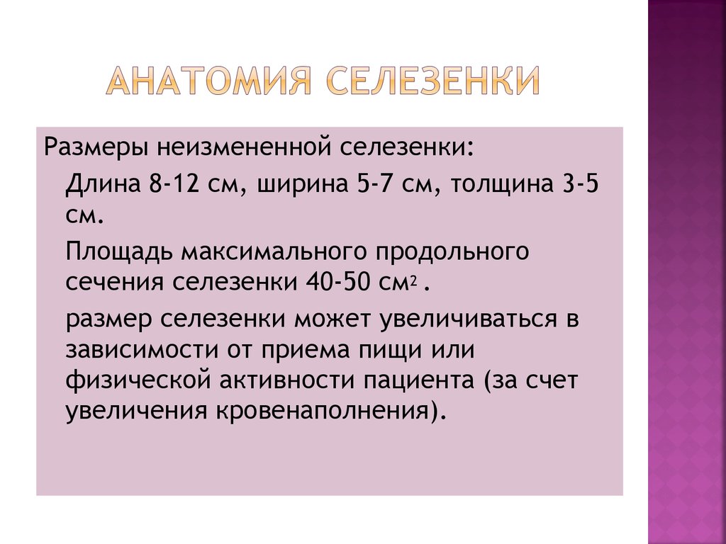 Увеличен размер селезенки. Размеры селезенки. Размеры селезенки в норме. Площадь селезенки в норме. Размер селеннки в норме.