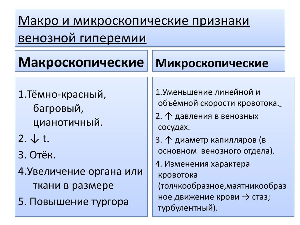 Признаки венозной гиперемии рисунок