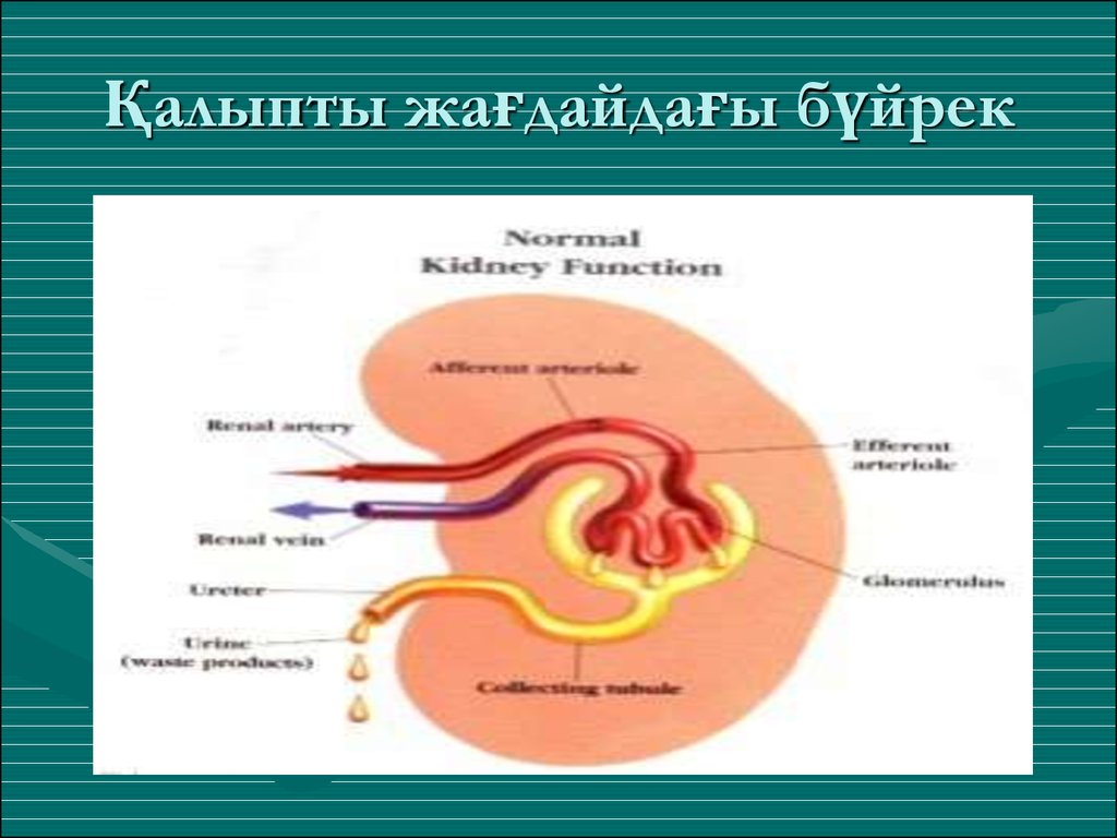 Балалардағы панкреатит презентация