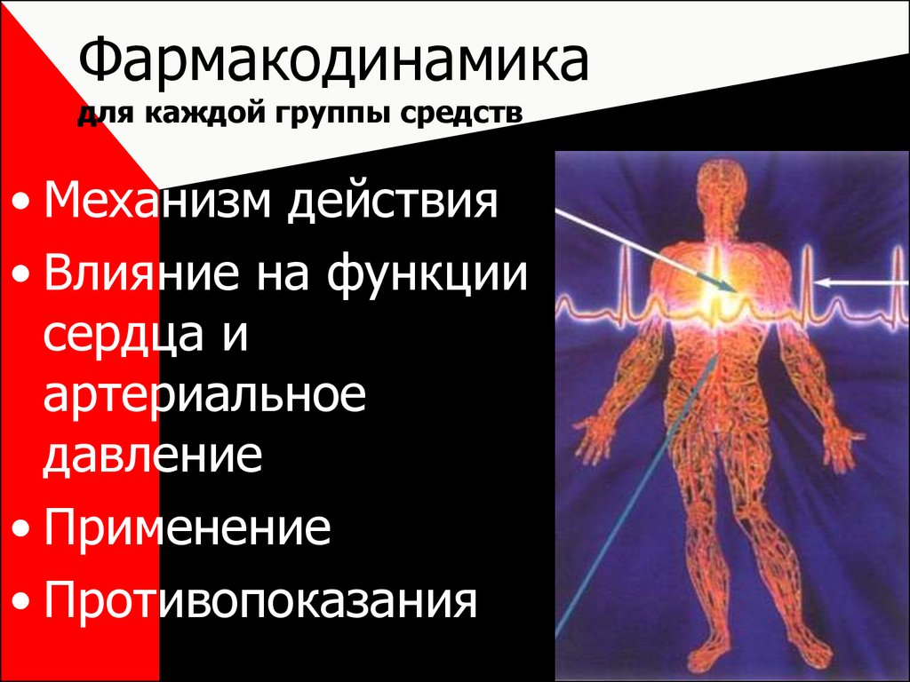 Фармакодинамика для каждой группы средств