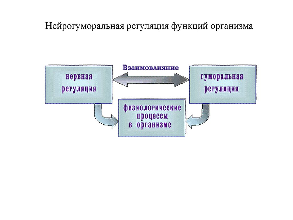 Нейрогуморальная регуляция презентация 6 класс пасечник