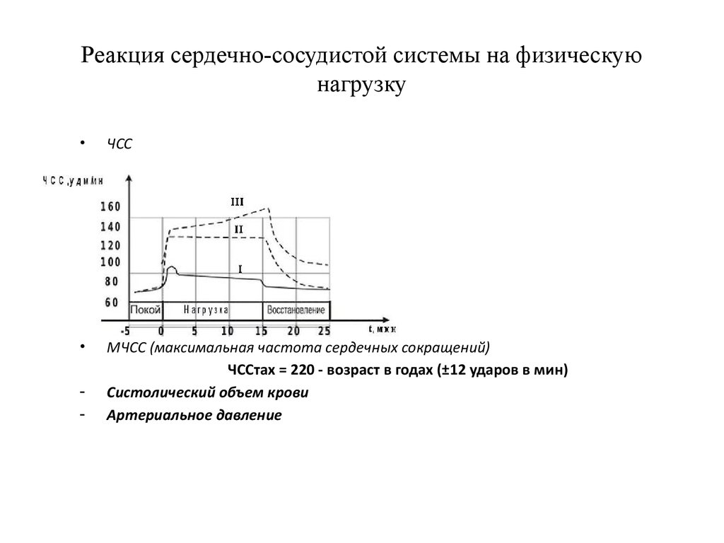 Функциональная проба реакция сердечно сосудистой