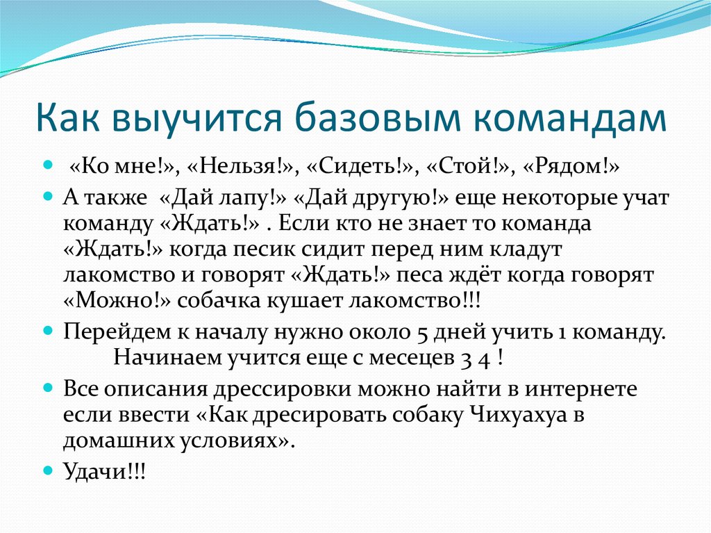 Как выучится базовым командам