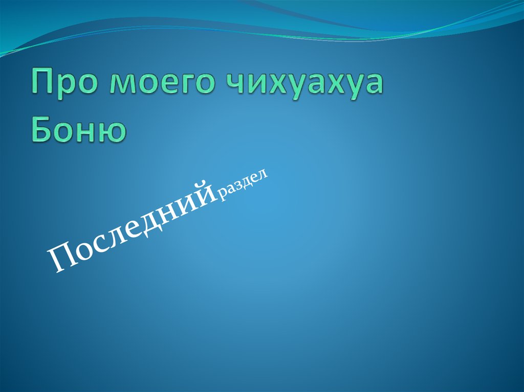 Про моего чихуахуа Боню