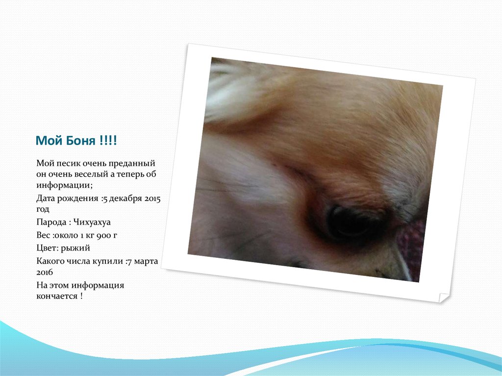 Мой Боня !!!!