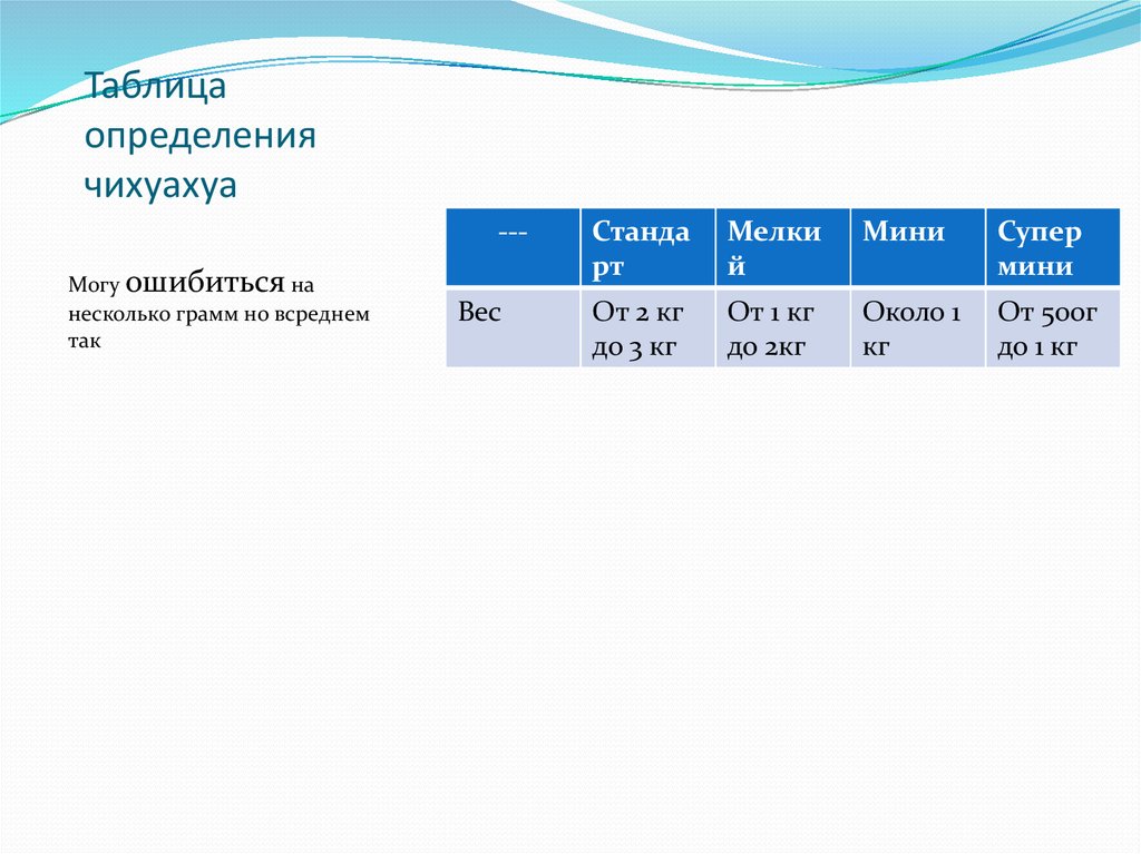 Таблица определения чихуахуа