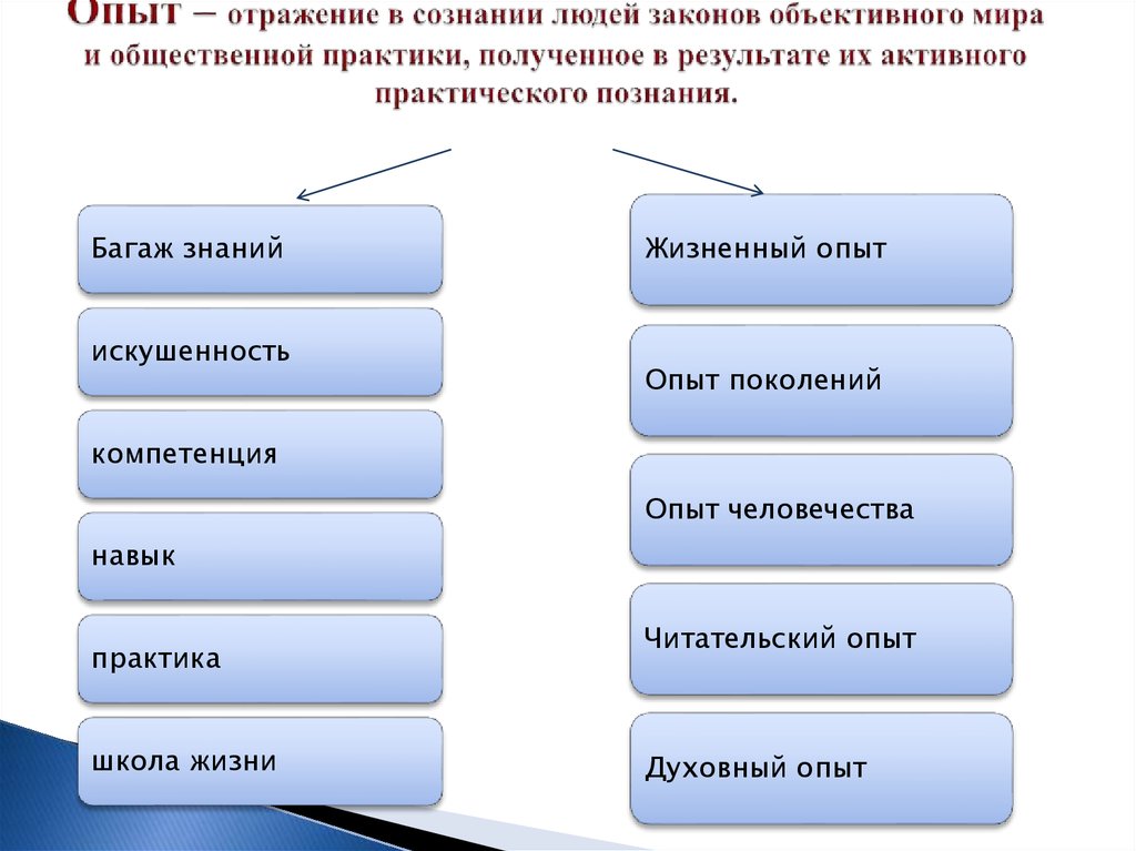 Направление опыт. Опыт и практика. Направленности опыта отражение. Опыт отражение в сознании людей законов. Человек в мире объективных законов.