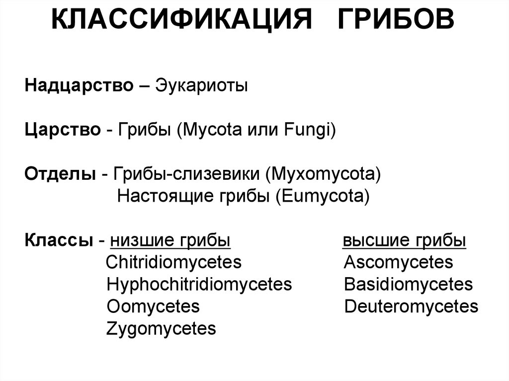 Систематическая категория эукариот. Классификация грибов таксономия. Царство грибы классификация схема. Классификация грибов таблица. Царство грибов классификация схема.