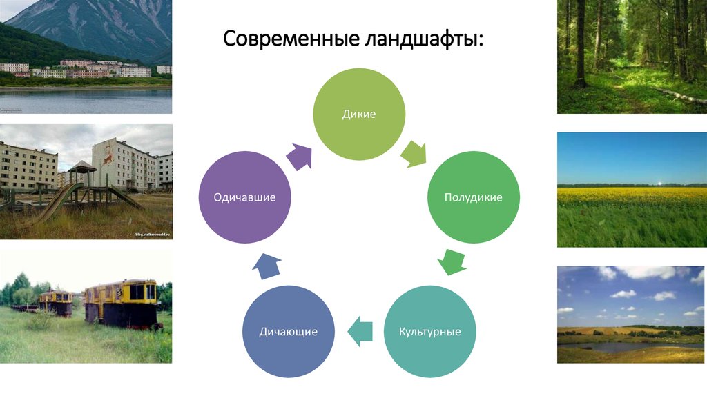 Практическая работа по географии ландшафты. Разновидности ландшафта. Типы ландшафтов. Виды природных ландшафтов. Ландшафты России презентация.