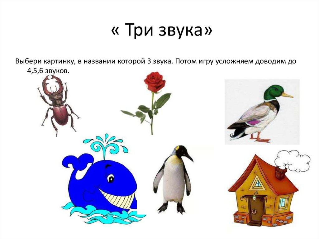 Звук 3 4. Картинки в названии которых 5 звуков. Слова из 3 звуков. Отобрать картинки, в названии которых 3 звука звуков.. Назови третий звук в словах.